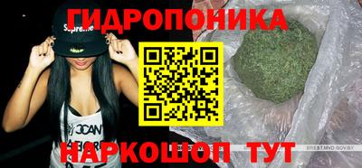 кокаин Гатчина