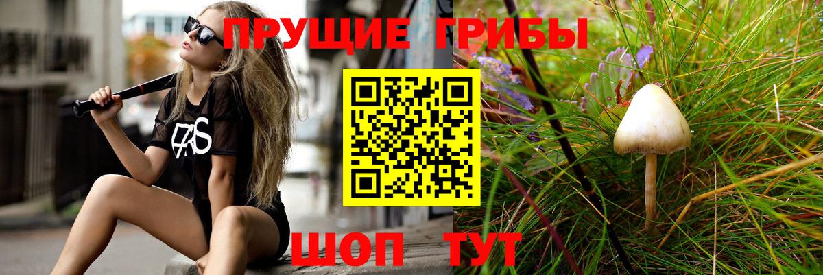 Псилоцибиновые грибы прущие грибы  Вход с VPN  Лыткарино 